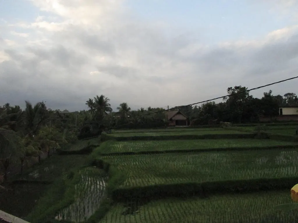 Ancut Sari Hotel Ubud