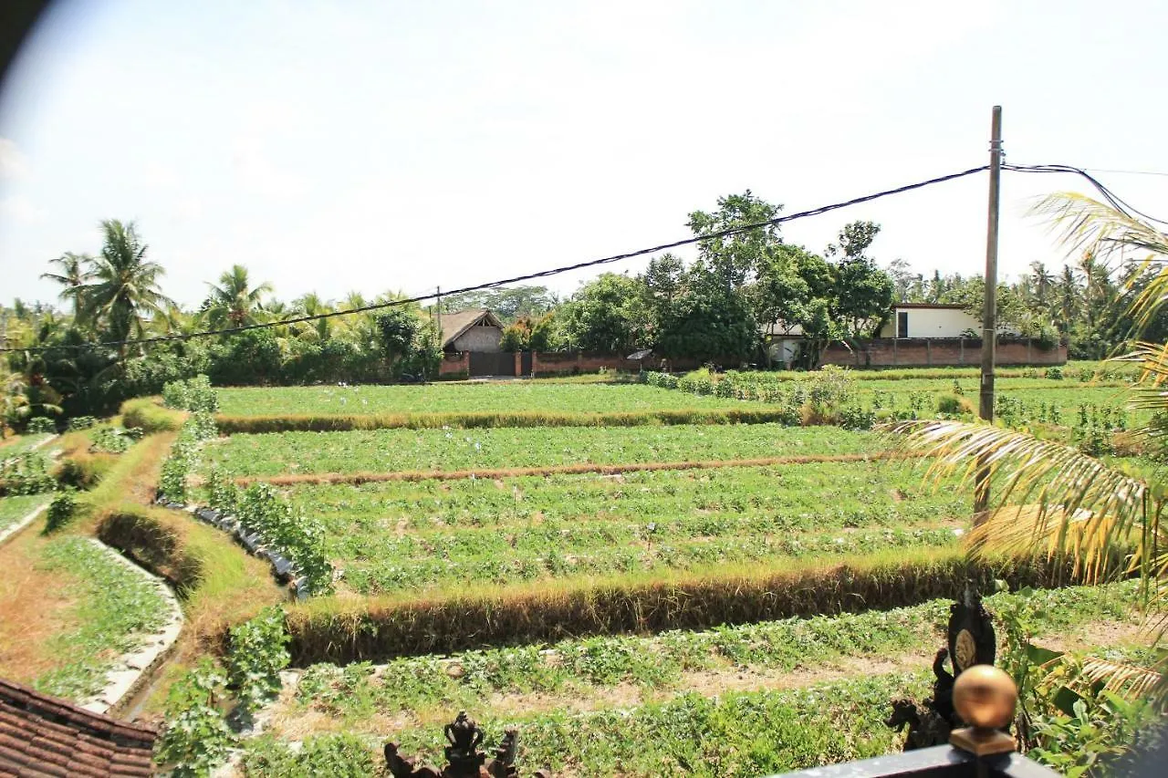 Ancut Sari Hotel Ubud  Indonesia