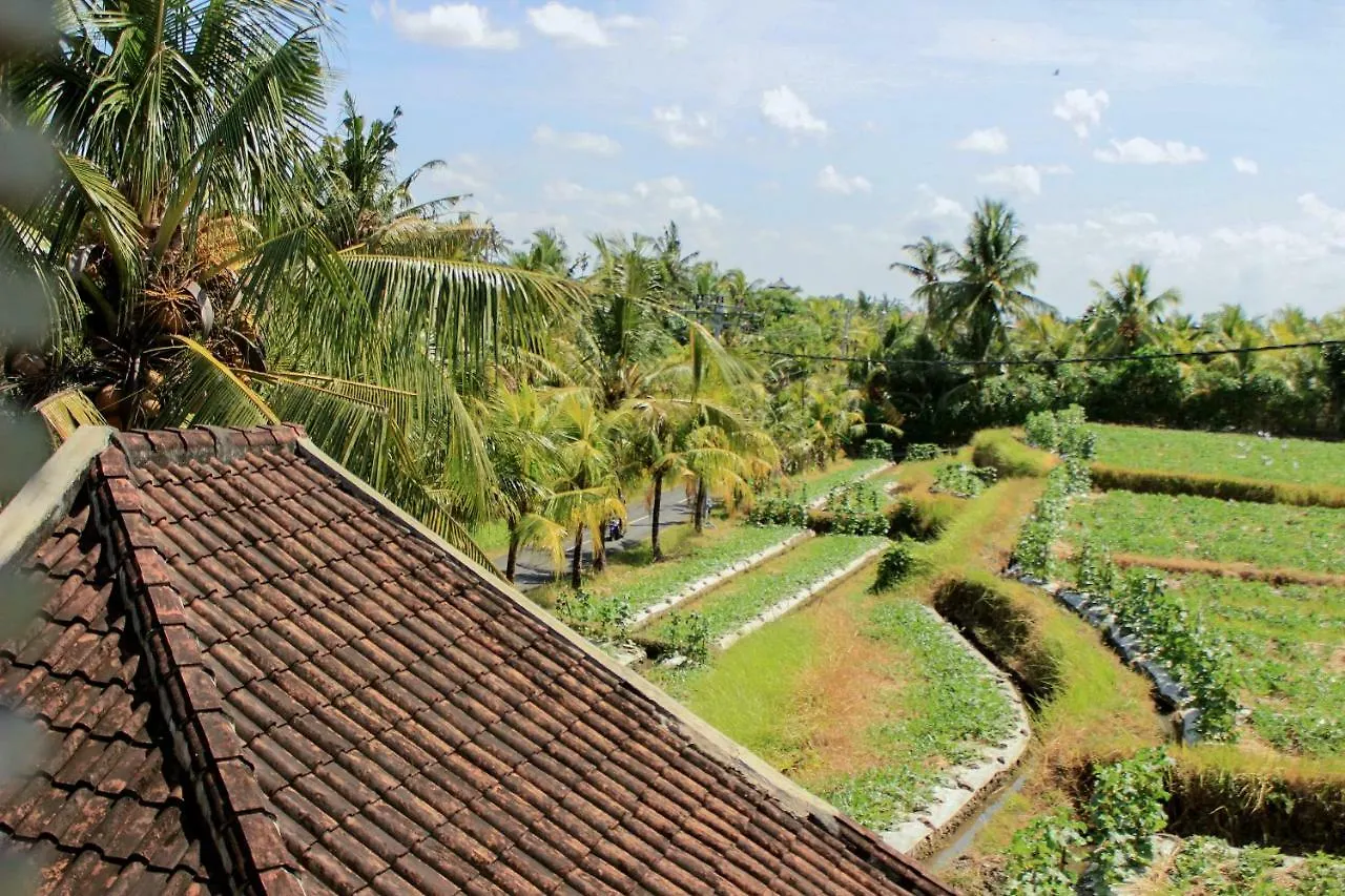 Ancut Sari Hotel Ubud  0*, Ubud (Bali)